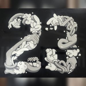 Air Jordan 11 Retro Space JAM edition